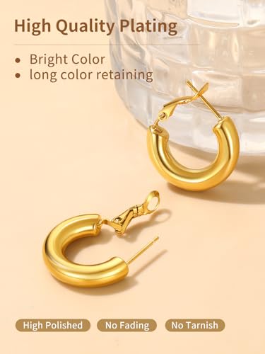 FindChic Hoop Earrings for Women, Silver/Black/14K Gold Plated Hypoallergenic Hollow Round Tube Loop Earrings, 20mm/30mm/40mm/60mm/80mm Chunky Hoops with Custom Name Options & Gift Box - color: c.Gold, size: 20MM