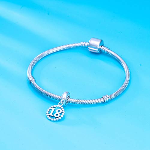 5,10,15,16,17,18,20,21,25,30,35,40,42,49,50,55,60,65,70 Number Charms for European Bracelet, 925 Sterling Silver Birthday Pendant Beads with CZ, Gifts for Mothers Day/Anniversary - color: Silver Color Number 18 Charm