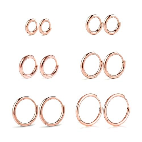 Small Gold Silver Hoop Earrings for Women Men | Stainless Steel Huggie Hoops Earring Stacks for Multiple Piercing 6mm-16mm - color: Rose Gold, 6 Pairs: 6/8/10/12/14/16mm