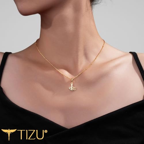 TIZU Initial Necklaces for Women - Dainty 14K Gold Plated Letter Pendant Trendy Personalized Initial A-Z Necklaces Jewelry Gift - color: Gold-L