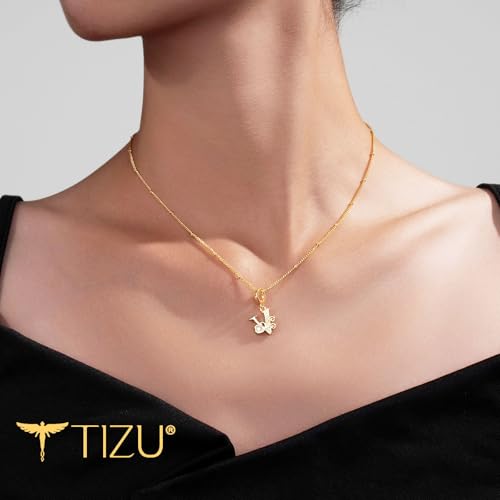TIZU Initial Necklaces for Women - Dainty 14K Gold Plated Letter Pendant Trendy Personalized Initial A-Z Necklaces Jewelry Gift - color: Gold-V