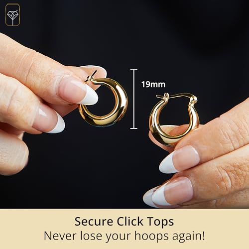 14k Yellow Gold Plated Hoop Earrings for Women with Click Top | Anti Tarnish Lightweight Chunky 14K Gold Hoop Earrings | Hypoallergenic Gold Plated Earrings 0.6 to 1.2 Inches by MAX + STONE - style: Polished