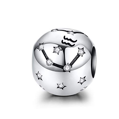 Constellation Charm 925 Sterling Silver Birthstone Bead for Pandora Charms Bracelet-Gift for Anniversary Birthday Christmas Day - color: Aquarius(1.20-2.18)