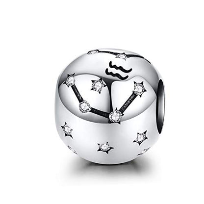 Constellation Charm 925 Sterling Silver Birthstone Bead for Pandora Charms Bracelet-Gift for Anniversary Birthday Christmas Day - color: Aquarius(1.20-2.18)