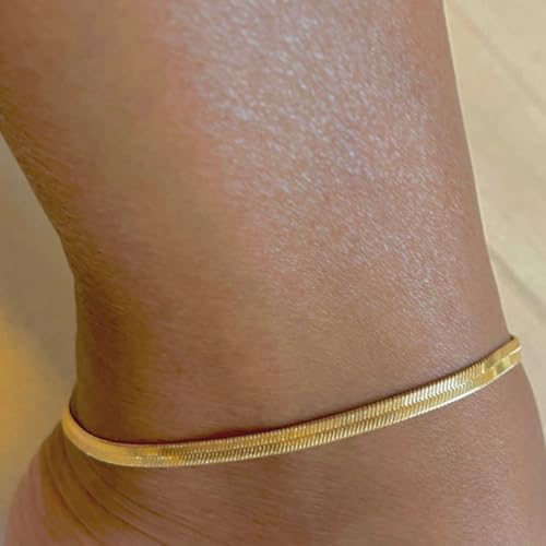 Gold Stainless Steel Anklet Chain for Women Adjustable Ankle Bracelet Fashionable Simple Design, Round mold chain - color: Gold+ Blade Chain, size: 22+3cm
