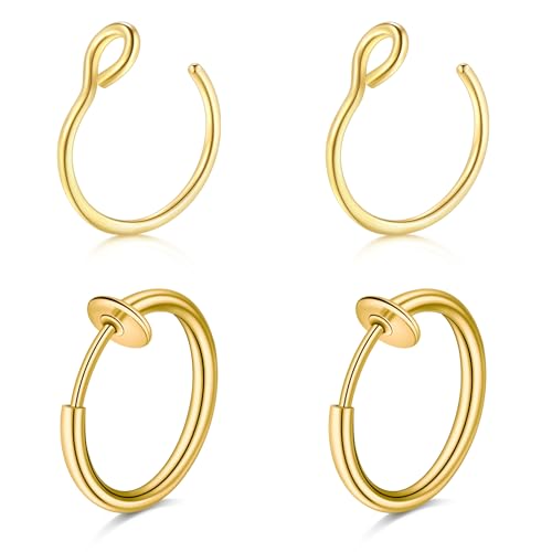 QWALIT Fake Nose Ring Fake Lip Piercing Fake Lip Ring Fake Nose Ring Hoop Fake Snake Bites Fake Lip Piercings Faux Lip Rings Fake Nose Piercing Clip on Nose Ring Spring - color: A4-spring + basic- gold