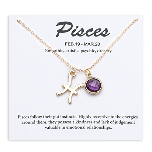 14k Gold Plated Zodiac Birthstone Crystal Pendant Necklace, Horoscope Sign Charm Necklace for Women Birthday Gift - color: Pisces-Feb.