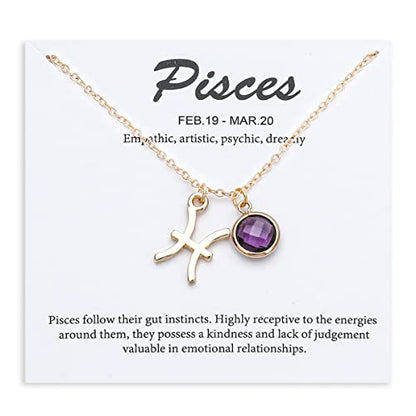 14k Gold Plated Zodiac Birthstone Crystal Pendant Necklace, Horoscope Sign Charm Necklace for Women Birthday Gift - color: Pisces-Feb.