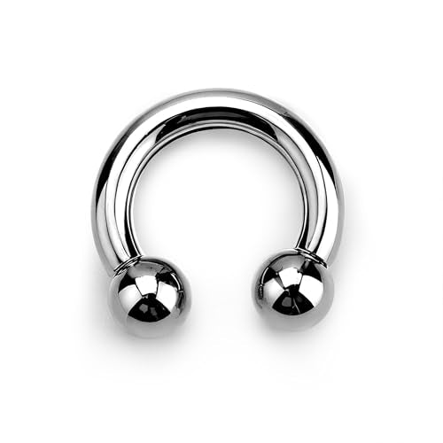 G23 Titanium Septum Ring Horseshoe Pincher Spike Nose Piercing Jewelry | 00/0/2/4/6/8/10/12G Circular Barbell Stretched Body Piercing Jewelry for Women Men,ASTM F136 Titanium Earrings, 10/12/16/19mm - color: Titanium-Horseshoe Balls, size: 6G(4mm)-16mm