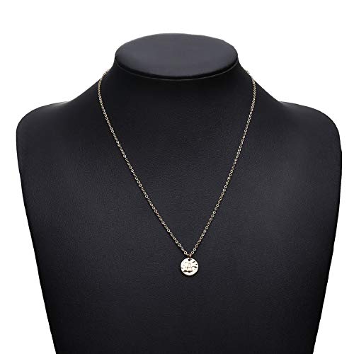 Valloey Rover Initial Necklaces for Women 14K Gold Plated Dainty Letter Necklce Round Coin Disc Pendant Double Side Engraved A-Z Necklace Personalized Jewelry Gift for Women - color: A