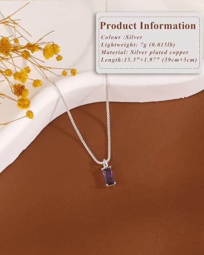 FUNEIA Diamond Necklaces for Women 14K Gold Plated Emerald Birthstone Necklace for Women Mothers Dainty Gold Necklace Blue Green Cubic Zirconia Pendant Necklace Birthday Gifts for Women Jewelry - color: 02. February(Amethyst)-Silver