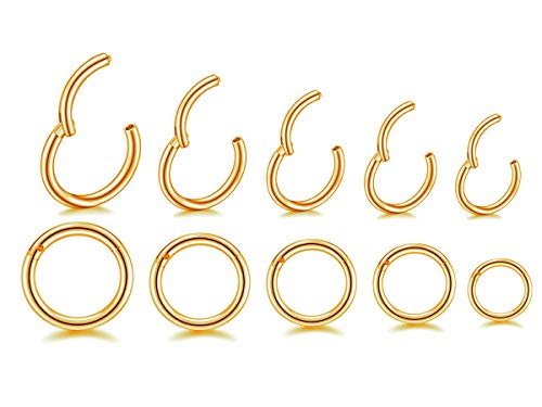 HQLA 16G Surgical Steel Hinged Clicker Segment Nose Rings Hoop Helix Cartilage Daith Tragus Sleeper Earrings Body Piercing for women 6mm 8mm 10mm 12mm 14mm - style: 16G - Gold - (6mm-14mm) - 10Pcs