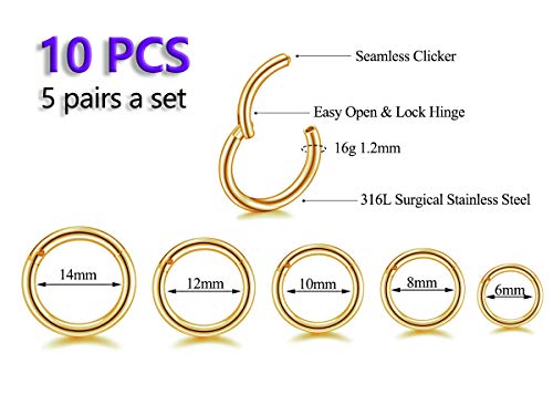 HQLA 16G Surgical Steel Hinged Clicker Segment Nose Rings Hoop Helix Cartilage Daith Tragus Sleeper Earrings Body Piercing for women 6mm 8mm 10mm 12mm 14mm - style: 16G - Gold - (6mm-14mm) - 10Pcs