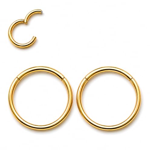AMASIS Nose Rings and Nose Studs Set, Stainless Steel Hinged Nose Hoops and CZ Studs, Select Sizes and Styles for Nostril Septum Cartilage Piercing Jewelry - color: Gold, size: 2-Piece Hoops,20Gauge,7mm