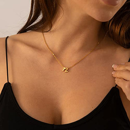 Number Necklace for Women Dainty 18K Gold Plated Pendant Necklace Charm Birth Month Personalized Jewelry Birthday Gift - color: GOLD, style: Number 10