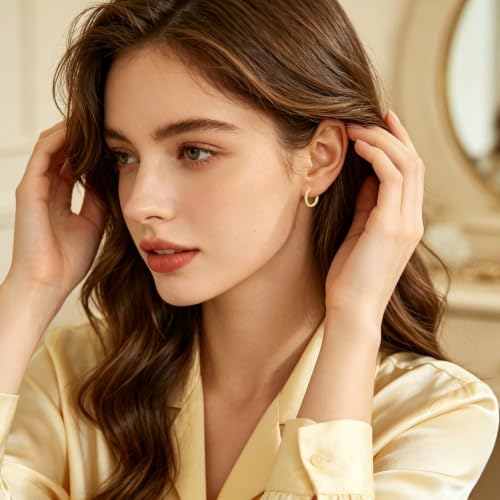 14K Gold Hoop Earrings for Women Thick Large Earrings Lightweight | Gold Plated Huggie Earrings for Women Hypoallergenic (with Gift Box) - color: Twisted-25MM