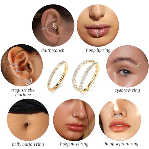 GAGABODY 2 Pcs Nose Rings 22G 20G 18G 16G 14G 12G 10G 8G Surgical Steel Piercing Rings for Nose Septum Cartilage Helix Tragus Conch Rook Daith Lobe from 5mm to 16mm Seamless Hoop Unisex Hinged Earrings - color: Gold-Single CZ+Double CZ
