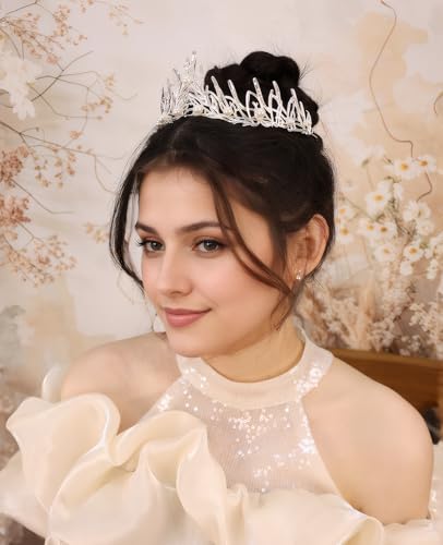 Wedding Crystal Tiara for Women Elegant Bridal Pearl Rhinestone Crown Swan Queen Princess Costume Crown Star Crystal Headpiece Accessory for Cosplay Birthday Party - color: Pearl 1-silver