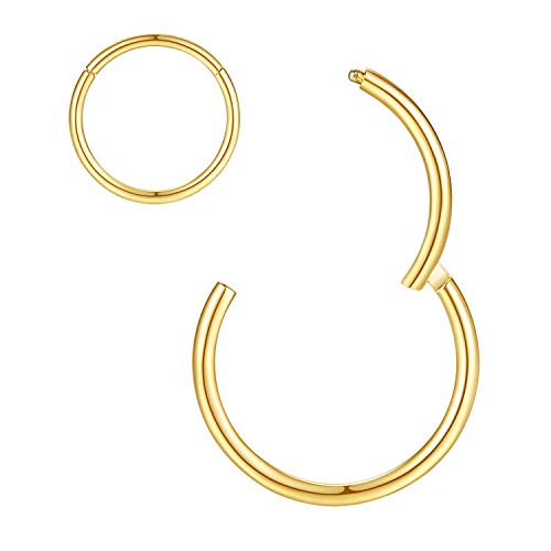 ORANGELOVE Hypoallergenic Nose Rings 20G 18G 16G 14G 12G 10G 8G 316l Surgical Steel Septum Jewelry Hinged Segment Ring Body Piercing Nose Hoop Lip Rings Nose Helix Cartilage Rook Earrings - color: Gold, size: 1pc 16 Gauge 7mm