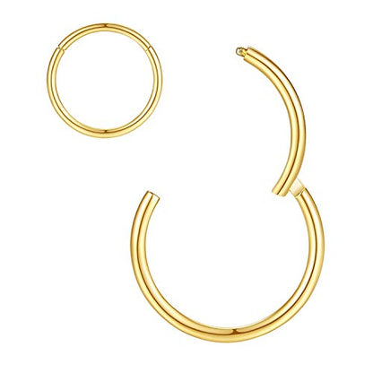 ORANGELOVE Hypoallergenic Nose Rings 20G 18G 16G 14G 12G 10G 8G 316l Surgical Steel Septum Jewelry Hinged Segment Ring Body Piercing Nose Hoop Lip Rings Nose Helix Cartilage Rook Earrings - color: Gold, size: 1pc 16 Gauge 6mm