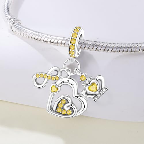 3PCS Birthstone Stone Charms for Charms Bracelet 925 Sterling Silver Infinity Love Heart Crown Dangle Charms Spacer Stopper Beads for Bracelets and Necklaces, Birthday Mother's Day Christmas Gifts For Women. - color: 11 Nov. 3PCS