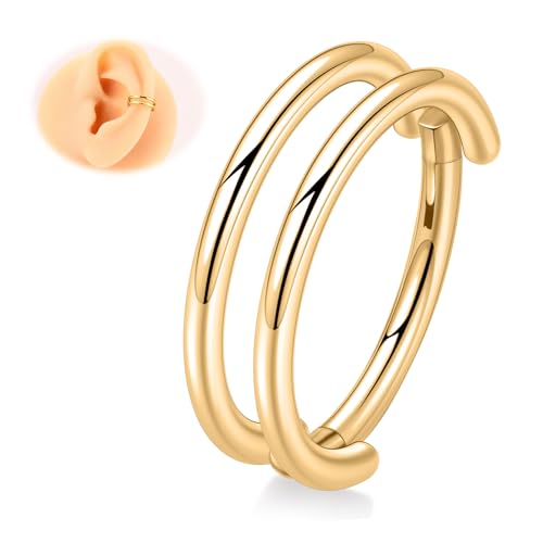 Cartilage Earring Hoop 316L Surgical Steel Conch Piercing Jewelry 16/18G Double Rows Nose Rings Hoops Hinged Segment Clicker Helix Rook Daith Piercing Jewelry 6/8/10/12mm - color: D1-Gold, size: 18G-6mm