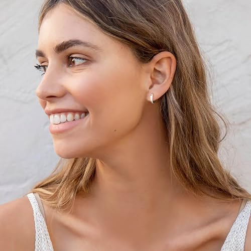 DAILY VIBES Dainty Small Star Huggie Hoop Earrings for Women Trendy | 925 Sterling Silver Post, 14K Gold or Silver Plated, Mini Cubic Zirconia, Cartilage Hoop Earrings - color: Silver Mini Star