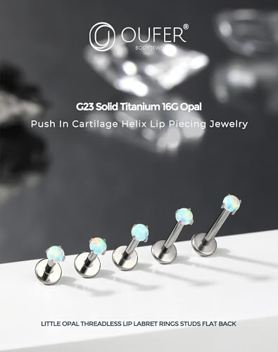 OUFER 2PCS 16G/20G Nose Lip Studs, G23 Solid Titanium Threadless Push in Nose Nostril Lip Labret Medusa Monroe Helix Cartilage Tragus Conch Lobe Piercing Jewelry for Women Men - color: Silver bar, Claw Opal, size: 2pcs, 16g 5mm, 2.5mm Opal