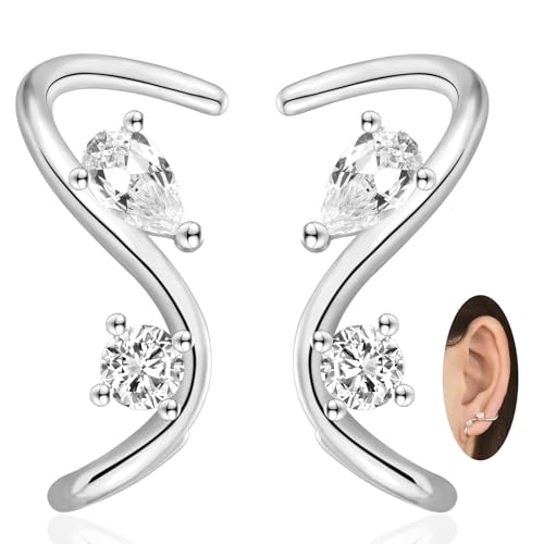 EPIRORA Earrings for Women Trendy, Dainty Geometric S-Shape Cubic Zirconia Stud Earrings for Women Hypoallergenic, Unique Jewelry Gift for Her on Valentine's Day, Birthday, Party - Silver & Gold - style: Silver