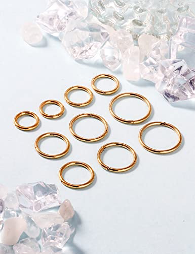 Vsnnsns 14G 16G Septum Nose Rings Hoops Lip Ring Piercing Jewelry 316L Surgical Steel Hinged Segment Clicker Cartilage Tragus Helix Conch Rook Daith Lobe Earrings Hoops Piercing Jewelry for Women Men - color: 14G-Gold