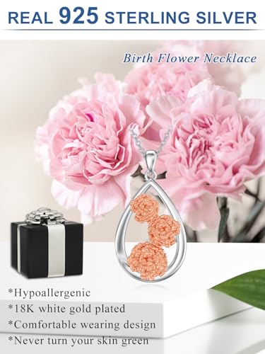 12 Month Birth Flower Necklace for Women 925 Sterling Silver Floral Teardrop Pendant Birthday Jewelry Gifts - color: 01. January Carnation
