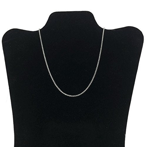 Loralyn Designs 2mm Titanium Stainless Steel Rolo Chain Necklace Lobster Clasp Closure (16-24 Inch)