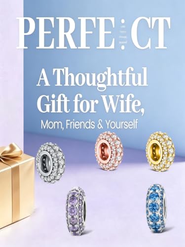 KEQ 925 Silver Spacer Stopper Bead Charms Clearance for Pandora Bracelets Birthstone CZ Always Stopper Birthday Gifts for Mom Grandmom Granddaughter Wife Sisters Friends - color: Purple(2 Pcs)