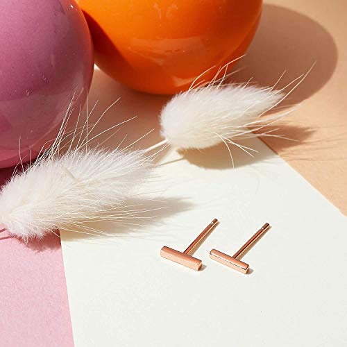 PAVOI 14K Gold Plated 925 Sterling Silver Tiny Stud Earrings for Women - Dainty Circle, Triangle, Bar Earrings - Hypoallergenic Minimalist Geometric Jewelry Small Gold Studs for Women - style: Bar