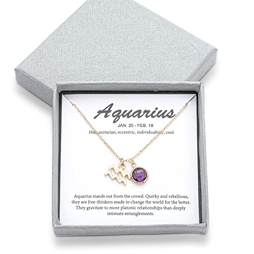 14k Gold Plated Zodiac Birthstone Crystal Pendant Necklace, Horoscope Sign Charm Necklace for Women Birthday Gift - color: Aquarius-Feb.