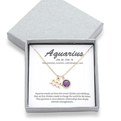 14k Gold Plated Zodiac Birthstone Crystal Pendant Necklace, Horoscope Sign Charm Necklace for Women Birthday Gift - color: Aquarius-Feb.