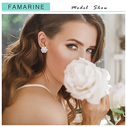 FAMARINE CZ Clip on Earrings for Women Clip Earring Non-pierced Earrings - style: Snowflake