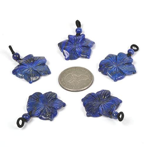 Justinstones Hand Carved Healing Crystals Gemstone Hawaii Flower Pendant Hand Weaving Wax Rope Necklace 22 inch - color: Lapis
