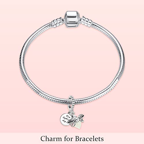 MITSOKU 925 Sterling Silver Charms for Bracelets Necklaces Animal prototype Pendant Safety Chain Dangle Pendants Beads Christmas Day Charms Jewelry Gift for Women - style: Glow in the Dark