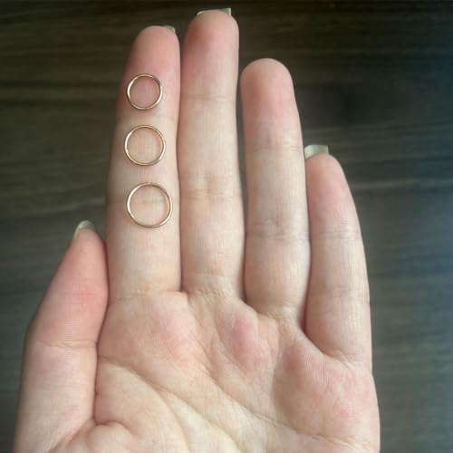 4G/6G/8G/10G/12G/14G/16G/18G/20G Hypoallergenic Nose Hoop Rings Steel Hinged Clicker Segment Gold/Rose Gold/Black/Pink Color - style: 3pc: 20g×7/8/9mm Rose Gold
