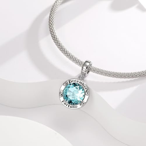 Birthstone Charms for Women Bracelets Birthday Bead Charms fit Pandora Bracelets Mothers Day Gifts for Women - color: 12-December(Tanzanite)