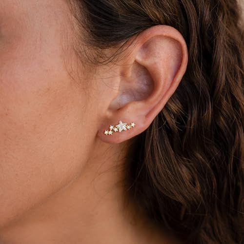 Robaice Cartilage Climber Earrings for Women，14K Gold Plated Helix Stud | Trendy Cluster Earrings, CZ Stud Earring, Tragus Conch Daith Piercing, Ear Crawer,Hypoallergenic Jewelry Gift for Women - color: E-Gold Star