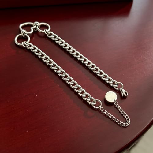 MIFYNN Heart O ring Slip Chain Necklaces for Women Stainless Steel Cuban Chain Bar Necklace Punk Rock Collar Necklace Handmade Adjustable Lariat Y Necklaces for Men - color: Heart choker