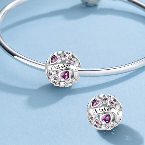 HappyStar 925 Sterling Silver Four Leaf Clover Bead Charm with Cubic Zirconia Birthstone Charms for Bracelets Dangle Pendant Compatible Pandora Bracelets Lucky Charm Birthday Gift - color: 91-October Birthstone Bead