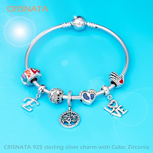 26 Letter Pendant Charms, Polished 925 Sterling Silver Complete Initial A-Z Dangling CZ Stone Alphabet Beads, fits European Bracelet Necklace, Gift for Mother/Father/Daughter/Son/Sister/Aunt - color: Letter E CZ Pendant Charm