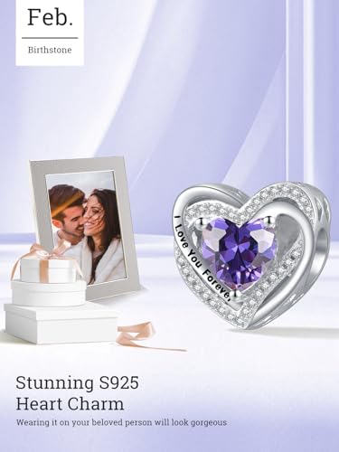 Heart Birthstone Charms for Bracelets, 925 Sterling Silver Women Bead Charms for Charm Bracelets Necklace, Mother's Day Birthday Anniversary Jewelry Gifts for Wife Mom Grandma Daughter - style: Bead - Feb - Amethyst