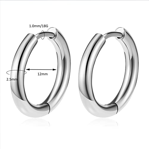 Titanium Huggie Hoop Earrings Hypoallergenic Nickel Free Hinged Sleeper Earrings for Sensitive Skin Cartilage Helix Lobes - style: Huggie 12mm silver