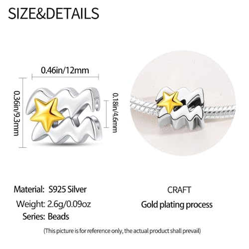 925 Sterling Silver 12 Astrological Signs Charm for Bracelets and Necklace Happy Birthday Charms for Bracelet and Necklace Valentine's Day Mother's Day Gift - style: Aquarius Charm