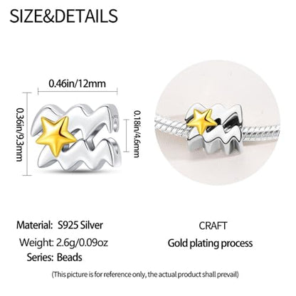 925 Sterling Silver 12 Astrological Signs Charm for Bracelets and Necklace Happy Birthday Charms for Bracelet and Necklace Valentine's Day Mother's Day Gift - style: Aquarius Charm