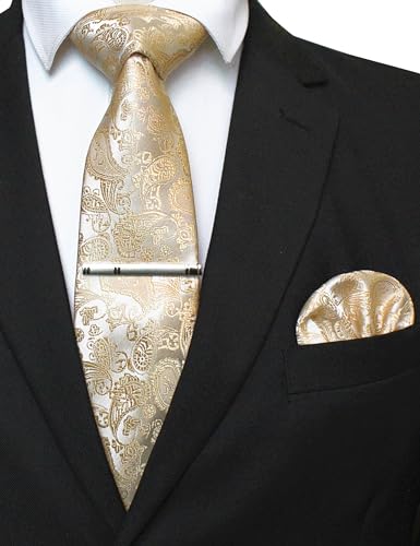 JEMYGINS Mens Solid Color Paisley Necktie and Pocket Square with Tie Clip Sets - color: Champagne